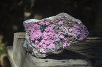 Natural Salrose Cobaltion Dolomite Specimen x 1 From Kakanda, Congo