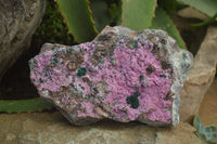 Natural Salrose Cobaltion Dolomite Specimen x 1 From Kakanda, Congo