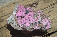 Natural Salrose Cobaltion Dolomite Specimen x 1 From Kakanda, Congo