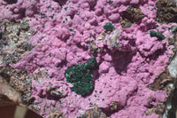 Natural Salrose Cobaltion Dolomite Specimen x 1 From Kakanda, Congo