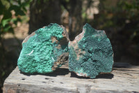 Natural Botryoidal Malachite Specimens x 2 From Congo