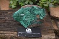 Natural Botryoidal Malachite Specimens x 2 From Congo