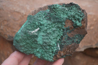 Natural Botryoidal Malachite Specimens x 2 From Congo