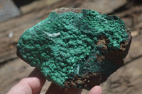 Natural Botryoidal Malachite Specimens x 2 From Congo