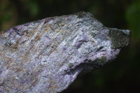 Natural Stichtite Specimens x 2 From Barberton, South Africa