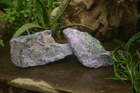 Natural Stichtite Specimens x 2 From Barberton, South Africa