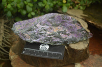 Natural Stichtite Specimens x 2 From Barberton, South Africa