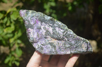 Natural Stichtite Specimens x 2 From Barberton, South Africa