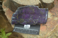 Polished On One Side Metallic Purpurite Specimens x 4 From Namibia