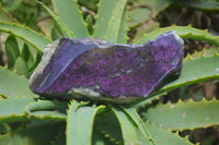 Polished On One Side Metallic Purpurite Specimens x 4 From Namibia