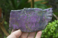 Polished On One Side Metallic Purpurite Specimens x 4 From Namibia