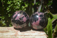 Polished Rhodonite Spheres x 2 From Madagascar