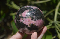 Polished Rhodonite Spheres x 2 From Madagascar