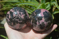 Polished Rhodonite Spheres x 2 From Madagascar