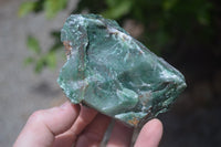 Natural Jade Cobbed Specimens x 12 From Swaziland