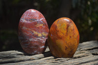 Polished Red Jasper Standing Free Forms x 6 From Madagascar