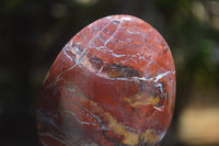 Polished Red Jasper Standing Free Forms x 6 From Madagascar