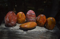 Polished Red Jasper Standing Free Forms x 6 From Madagascar