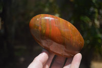 Polished Red Jasper Standing Free Forms x 6 From Madagascar