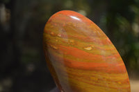 Polished Red Jasper Standing Free Forms x 6 From Madagascar