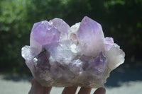 Natural Jacaranda Amethyst Quartz Clusters x 2 from Mumbwa, Zambia