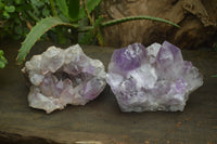 Natural Jacaranda Amethyst Quartz Clusters x 2 from Mumbwa, Zambia