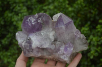 Natural Jacaranda Amethyst Quartz Clusters x 2 from Mumbwa, Zambia