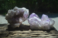 Natural Jacaranda Amethyst Quartz Clusters x 2 from Mumbwa, Zambia