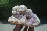 Natural Jacaranda Amethyst Quartz Clusters x 2 from Mumbwa, Zambia