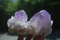 Natural Jacaranda Amethyst Quartz Clusters x 2 from Mumbwa, Zambia