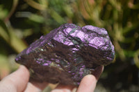 Natural Metallic Purpurite Cobbed Specimens x 5 From Erongo, Namibia