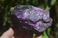 Natural Metallic Purpurite Cobbed Specimens x 6 From Erongo, Namibia