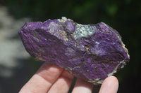 Natural Metallic Purpurite Cobbed Specimens x 6 From Erongo, Namibia