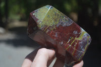 Polished Dragon Bloodstone Points x 3 From Tshipise, South Africa