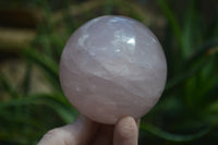 Polished Star Rose Quartz Spheres x 3 From Madagascar