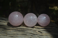 Polished Star Rose Quartz Spheres x 3 From Madagascar