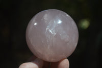 Polished Star Rose Quartz Spheres x 3 From Madagascar