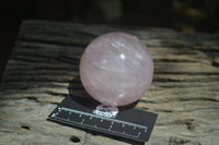 Polished Star Rose Quartz Spheres x 3 From Madagascar