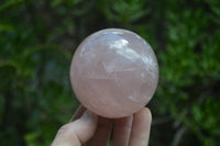 Polished Star Rose Quartz Spheres x 3 From Madagascar