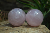 Polished Star Rose Quartz Spheres x 3 From Madagascar