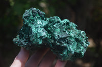 Natural Silky Malachite Specimen x 1 From Kasompe, Congo