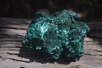 Natural Silky Malachite Specimen x 1 From Kasompe, Congo