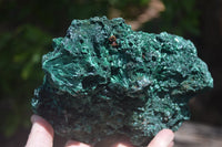 Natural Silky Malachite Specimen x 1 From Kasompe, Congo