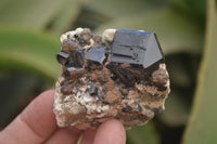 Natural Black Tourmaline With Hyalite Opal Specimens x 6 From Namibia