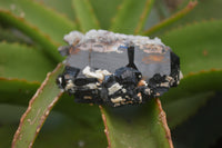 Natural Black Tourmaline With Hyalite Opal Specimens x 6 From Namibia