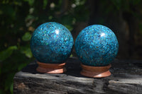 Polished Chrysocolla Conglomerate Spheres x 2 From Congo