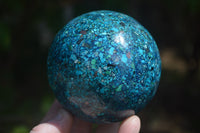 Polished Chrysocolla Conglomerate Spheres x 2 From Congo