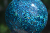 Polished Chrysocolla Conglomerate Spheres x 2 From Congo