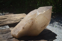 Natural Extra Large 1980's Self Healed Smokey Quartz Floater Crystal x 1 From Karibib, Namibia