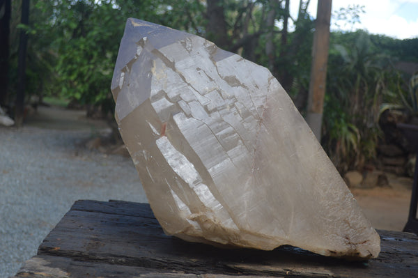 Natural Extra Large 1980's Self Healed Smokey Quartz Floater Crystal x 1 From Karibib, Namibia